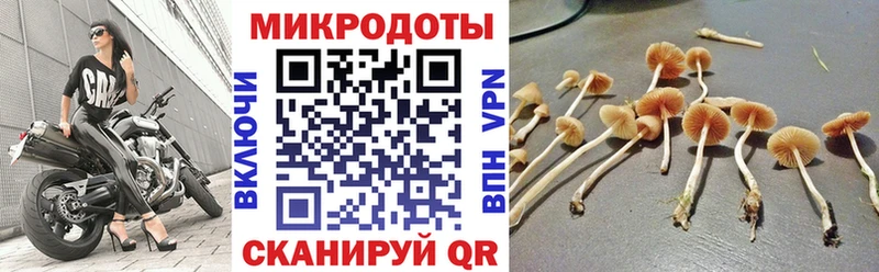 Купить закладки  Балаково  Галлюциногенные грибы GOLDEN TEACHER 